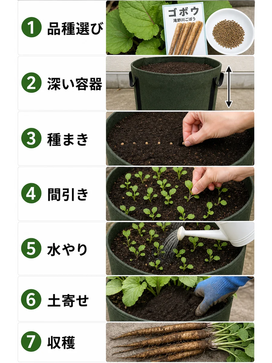 ごぼうの品種選び、深い容器、種まき、間引き、水やり、土寄せ、収穫をまとめた縦長画像