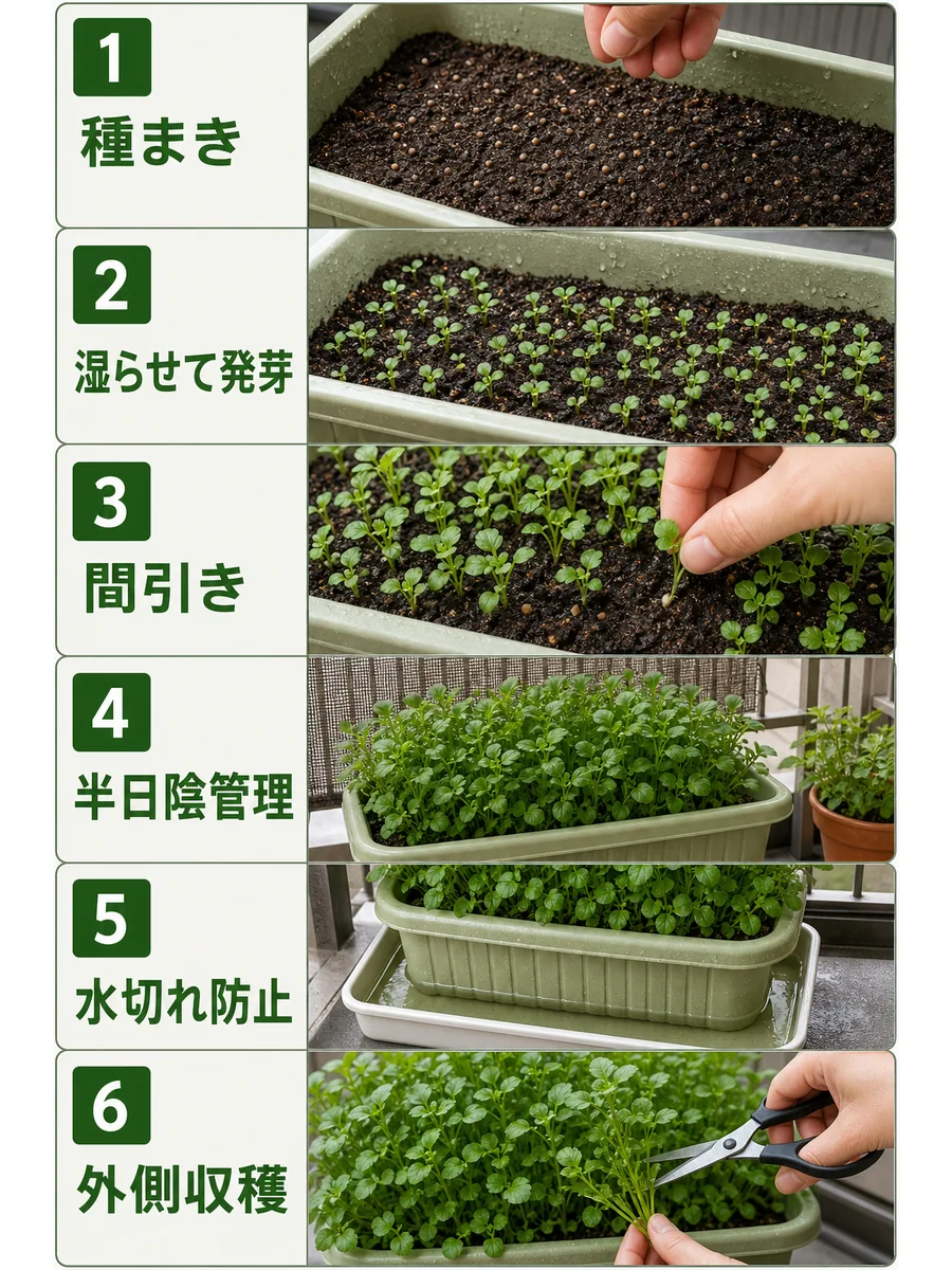 クレソンの種まき、湿らせて発芽、間引き、半日陰管理、水切れ防止、外側収穫をまとめた縦長画像