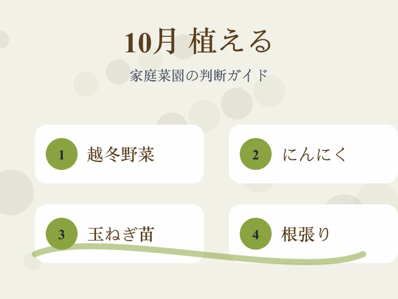 10月に植える野菜の候補と時期を比較した画像