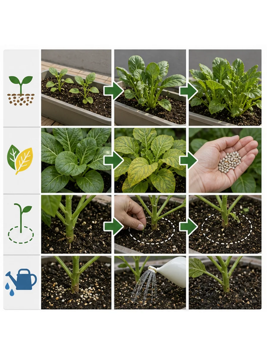 野菜の追肥タイミングと置き場所を示した手順
