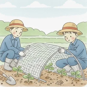 定植と初期管理