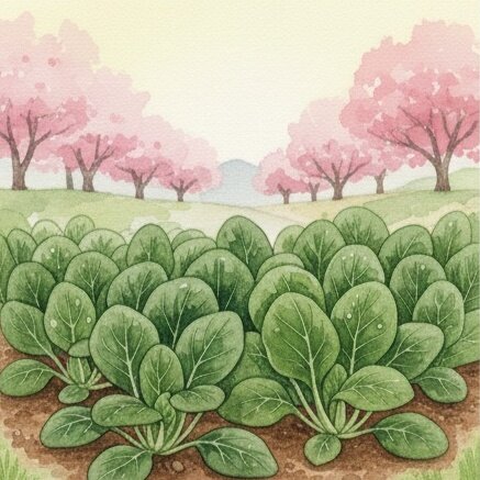 🌸 春栽培