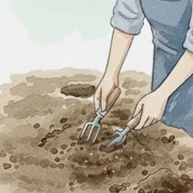 株管理・植え替え
