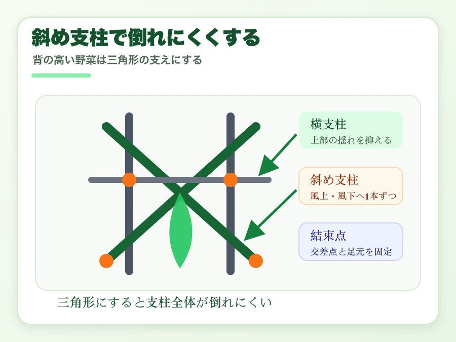 斜め支柱と横支柱で台風前に支柱を補強する方法