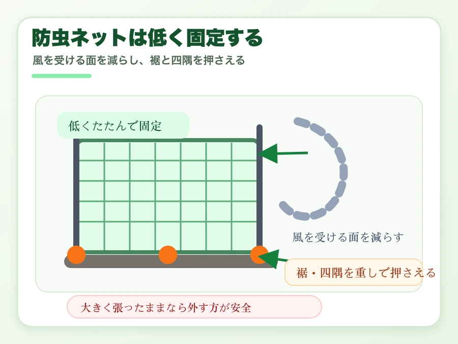 防虫ネットを低く固定して台風の風を受けにくくする方法