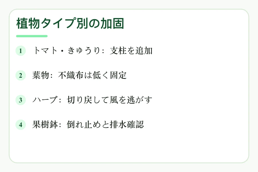 植物タイプ別の台風対策
